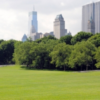 Central Park, New York